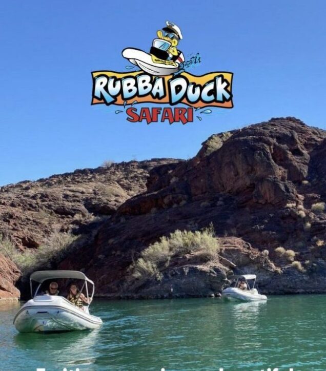 Rubba Duck Safari