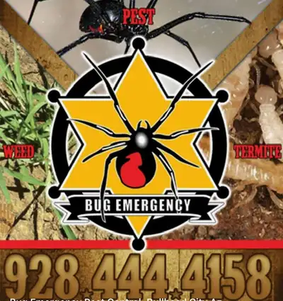 Bug Emergency