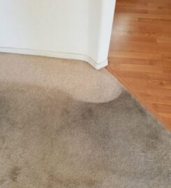 Lockwood Carpet Cleaning and Tile Repair