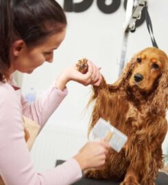 Madelyns Pet Grooming