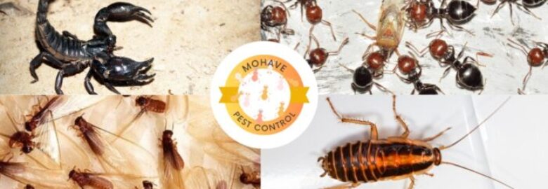Mohave Pest Control