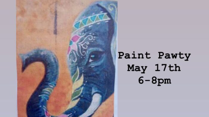 paintpawty