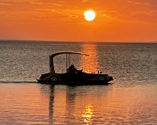 Novelty Boats